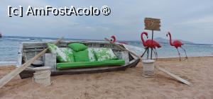 [P06]  -- <small>// FĂRĂ DESCRIERE</small> » foto by CHRISTIANA05
 - 
<span class="allrVoted glyphicon glyphicon-heart hidden" id="av1431476"></span>
<a class="m-l-10 hidden" id="sv1431476" onclick="voting_Foto_DelVot(,1431476,6617)" role="button">șterge vot <span class="glyphicon glyphicon-remove"></span></a>
<a id="v91431476" class=" c-red"  onclick="voting_Foto_SetVot(1431476)" role="button"><span class="glyphicon glyphicon-heart-empty"></span> <b>LIKE</b> = Votează poza</a> <img class="hidden"  id="f1431476W9" src="/imagini/loader.gif" border="0" /><span class="AjErrMes hidden" id="e1431476ErM"></span>