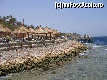 [P15] Unul din cele doua pontoane se unde puteai plonja in lumea marina » foto by Irina1974
 - 
<span class="allrVoted glyphicon glyphicon-heart hidden" id="av104936"></span>
<a class="m-l-10 hidden" id="sv104936" onclick="voting_Foto_DelVot(,104936,6617)" role="button">șterge vot <span class="glyphicon glyphicon-remove"></span></a>
<a id="v9104936" class=" c-red"  onclick="voting_Foto_SetVot(104936)" role="button"><span class="glyphicon glyphicon-heart-empty"></span> <b>LIKE</b> = Votează poza</a> <img class="hidden"  id="f104936W9" src="/imagini/loader.gif" border="0" /><span class="AjErrMes hidden" id="e104936ErM"></span>