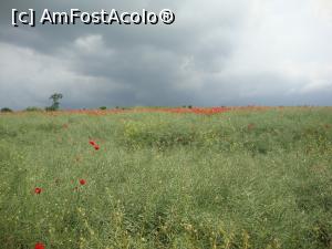 [P01] Ne apropiam de mănăstirea Dervent, iar cerul era acoperit treptat de nori ameninţători. În cele din urmă, ploaia avea să ne ocolească în acea zi.  » foto by Floryn81
 - 
<span class="allrVoted glyphicon glyphicon-heart hidden" id="av868980"></span>
<a class="m-l-10 hidden" id="sv868980" onclick="voting_Foto_DelVot(,868980,6633)" role="button">șterge vot <span class="glyphicon glyphicon-remove"></span></a>
<a id="v9868980" class=" c-red"  onclick="voting_Foto_SetVot(868980)" role="button"><span class="glyphicon glyphicon-heart-empty"></span> <b>LIKE</b> = Votează poza</a> <img class="hidden"  id="f868980W9" src="/imagini/loader.gif" border="0" /><span class="AjErrMes hidden" id="e868980ErM"></span>