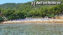 [P02] Plaja avea un nisip fin, fin, apa era cristal de limpede si trebuia sa mergi mult in apa ca sa iti ajunga pana la gat. O plaja privata minunata! » foto by ionut_net
 - 
<span class="allrVoted glyphicon glyphicon-heart hidden" id="av102861"></span>
<a class="m-l-10 hidden" id="sv102861" onclick="voting_Foto_DelVot(,102861,6638)" role="button">șterge vot <span class="glyphicon glyphicon-remove"></span></a>
<a id="v9102861" class=" c-red"  onclick="voting_Foto_SetVot(102861)" role="button"><span class="glyphicon glyphicon-heart-empty"></span> <b>LIKE</b> = Votează poza</a> <img class="hidden"  id="f102861W9" src="/imagini/loader.gif" border="0" /><span class="AjErrMes hidden" id="e102861ErM"></span>