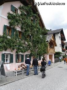 [P17] In Hallstatt am descoperit aceasta casa de care este lipit un par incarcat de fructe , forma acestui copac este superba. » foto by crissy
 - 
<span class="allrVoted glyphicon glyphicon-heart hidden" id="av106125"></span>
<a class="m-l-10 hidden" id="sv106125" onclick="voting_Foto_DelVot(,106125,6649)" role="button">șterge vot <span class="glyphicon glyphicon-remove"></span></a>
<a id="v9106125" class=" c-red"  onclick="voting_Foto_SetVot(106125)" role="button"><span class="glyphicon glyphicon-heart-empty"></span> <b>LIKE</b> = Votează poza</a> <img class="hidden"  id="f106125W9" src="/imagini/loader.gif" border="0" /><span class="AjErrMes hidden" id="e106125ErM"></span>