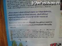 [P02] La 2 km de la intrarea pe acest drum forestier, in poiana numita 'Insula Harghitei', gasesti o pancarta indicatoare bilingva,cu unele date despre statiunea Chirui. » foto by dorgo
 - 
<span class="allrVoted glyphicon glyphicon-heart hidden" id="av108365"></span>
<a class="m-l-10 hidden" id="sv108365" onclick="voting_Foto_DelVot(,108365,6723)" role="button">șterge vot <span class="glyphicon glyphicon-remove"></span></a>
<a id="v9108365" class=" c-red"  onclick="voting_Foto_SetVot(108365)" role="button"><span class="glyphicon glyphicon-heart-empty"></span> <b>LIKE</b> = Votează poza</a> <img class="hidden"  id="f108365W9" src="/imagini/loader.gif" border="0" /><span class="AjErrMes hidden" id="e108365ErM"></span>