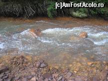 [P07] Raul galben isi continua vijelios, cursul la vale, spre Chirui » foto by dorgo
 - 
<span class="allrVoted glyphicon glyphicon-heart hidden" id="av108370"></span>
<a class="m-l-10 hidden" id="sv108370" onclick="voting_Foto_DelVot(,108370,6723)" role="button">șterge vot <span class="glyphicon glyphicon-remove"></span></a>
<a id="v9108370" class=" c-red"  onclick="voting_Foto_SetVot(108370)" role="button"><span class="glyphicon glyphicon-heart-empty"></span> <b>LIKE</b> = Votează poza</a> <img class="hidden"  id="f108370W9" src="/imagini/loader.gif" border="0" /><span class="AjErrMes hidden" id="e108370ErM"></span>
