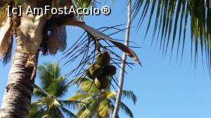 [P01] Alte două săptămâni în Paradis - la umbra cocotierilor » foto by nicole33
 - 
<span class="allrVoted glyphicon glyphicon-heart hidden" id="av1044872"></span>
<a class="m-l-10 hidden" id="sv1044872" onclick="voting_Foto_DelVot(,1044872,6729)" role="button">șterge vot <span class="glyphicon glyphicon-remove"></span></a>
<a id="v91044872" class=" c-red"  onclick="voting_Foto_SetVot(1044872)" role="button"><span class="glyphicon glyphicon-heart-empty"></span> <b>LIKE</b> = Votează poza</a> <img class="hidden"  id="f1044872W9" src="/imagini/loader.gif" border="0" /><span class="AjErrMes hidden" id="e1044872ErM"></span>