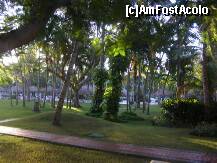 [P04]  -- <small>// FĂRĂ DESCRIERE</small> » foto by AngelinaJ.*
 - 
<span class="allrVoted glyphicon glyphicon-heart hidden" id="av178962"></span>
<a class="m-l-10 hidden" id="sv178962" onclick="voting_Foto_DelVot(,178962,6729)" role="button">șterge vot <span class="glyphicon glyphicon-remove"></span></a>
<a id="v9178962" class=" c-red"  onclick="voting_Foto_SetVot(178962)" role="button"><span class="glyphicon glyphicon-heart-empty"></span> <b>LIKE</b> = Votează poza</a> <img class="hidden"  id="f178962W9" src="/imagini/loader.gif" border="0" /><span class="AjErrMes hidden" id="e178962ErM"></span>