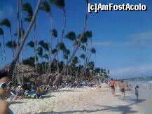 [P06]  -- <small>// FĂRĂ DESCRIERE</small> » foto by AngelinaJ.*
 - 
<span class="allrVoted glyphicon glyphicon-heart hidden" id="av178964"></span>
<a class="m-l-10 hidden" id="sv178964" onclick="voting_Foto_DelVot(,178964,6729)" role="button">șterge vot <span class="glyphicon glyphicon-remove"></span></a>
<a id="v9178964" class=" c-red"  onclick="voting_Foto_SetVot(178964)" role="button"><span class="glyphicon glyphicon-heart-empty"></span> <b>LIKE</b> = Votează poza</a> <img class="hidden"  id="f178964W9" src="/imagini/loader.gif" border="0" /><span class="AjErrMes hidden" id="e178964ErM"></span>