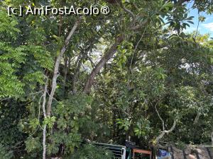 [P32] Mini grădina botanică » foto by AZE
 - 
<span class="allrVoted glyphicon glyphicon-heart hidden" id="av1525810"></span>
<a class="m-l-10 hidden" id="sv1525810" onclick="voting_Foto_DelVot(,1525810,6730)" role="button">șterge vot <span class="glyphicon glyphicon-remove"></span></a>
<a id="v91525810" class=" c-red"  onclick="voting_Foto_SetVot(1525810)" role="button"><span class="glyphicon glyphicon-heart-empty"></span> <b>LIKE</b> = Votează poza</a> <img class="hidden"  id="f1525810W9" src="/imagini/loader.gif" border="0" /><span class="AjErrMes hidden" id="e1525810ErM"></span>