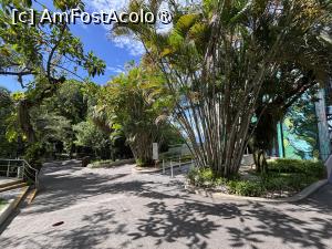 [P51] Pe Morro da Urca » foto by AZE
 - 
<span class="allrVoted glyphicon glyphicon-heart hidden" id="av1525829"></span>
<a class="m-l-10 hidden" id="sv1525829" onclick="voting_Foto_DelVot(,1525829,6730)" role="button">șterge vot <span class="glyphicon glyphicon-remove"></span></a>
<a id="v91525829" class=" c-red"  onclick="voting_Foto_SetVot(1525829)" role="button"><span class="glyphicon glyphicon-heart-empty"></span> <b>LIKE</b> = Votează poza</a> <img class="hidden"  id="f1525829W9" src="/imagini/loader.gif" border="0" /><span class="AjErrMes hidden" id="e1525829ErM"></span>