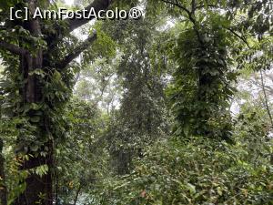 [P59] Mnigrădina botanică de pe munte » foto by AZE
 - 
<span class="allrVoted glyphicon glyphicon-heart hidden" id="av1525837"></span>
<a class="m-l-10 hidden" id="sv1525837" onclick="voting_Foto_DelVot(,1525837,6730)" role="button">șterge vot <span class="glyphicon glyphicon-remove"></span></a>
<a id="v91525837" class=" c-red"  onclick="voting_Foto_SetVot(1525837)" role="button"><span class="glyphicon glyphicon-heart-empty"></span> <b>LIKE</b> = Votează poza</a> <img class="hidden"  id="f1525837W9" src="/imagini/loader.gif" border="0" /><span class="AjErrMes hidden" id="e1525837ErM"></span>