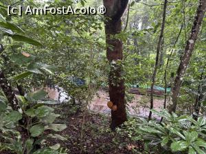 [P60] Mnigrădina botanică de pe munte » foto by AZE
 - 
<span class="allrVoted glyphicon glyphicon-heart hidden" id="av1525838"></span>
<a class="m-l-10 hidden" id="sv1525838" onclick="voting_Foto_DelVot(,1525838,6730)" role="button">șterge vot <span class="glyphicon glyphicon-remove"></span></a>
<a id="v91525838" class=" c-red"  onclick="voting_Foto_SetVot(1525838)" role="button"><span class="glyphicon glyphicon-heart-empty"></span> <b>LIKE</b> = Votează poza</a> <img class="hidden"  id="f1525838W9" src="/imagini/loader.gif" border="0" /><span class="AjErrMes hidden" id="e1525838ErM"></span>