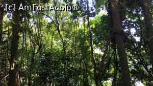 [P51] Rio de Janeiro - Corcovado » foto by elenaadina
 - 
<span class="allrVoted glyphicon glyphicon-heart hidden" id="av1517429"></span>
<a class="m-l-10 hidden" id="sv1517429" onclick="voting_Foto_DelVot(,1517429,6730)" role="button">șterge vot <span class="glyphicon glyphicon-remove"></span></a>
<a id="v91517429" class=" c-red"  onclick="voting_Foto_SetVot(1517429)" role="button"><span class="glyphicon glyphicon-heart-empty"></span> <b>LIKE</b> = Votează poza</a> <img class="hidden"  id="f1517429W9" src="/imagini/loader.gif" border="0" /><span class="AjErrMes hidden" id="e1517429ErM"></span>