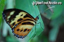 [P27]  -- <small>// FĂRĂ DESCRIERE</small> » foto by Nebelux
 - 
<span class="allrVoted glyphicon glyphicon-heart hidden" id="av109591"></span>
<a class="m-l-10 hidden" id="sv109591" onclick="voting_Foto_DelVot(,109591,6751)" role="button">șterge vot <span class="glyphicon glyphicon-remove"></span></a>
<a id="v9109591" class=" c-red"  onclick="voting_Foto_SetVot(109591)" role="button"><span class="glyphicon glyphicon-heart-empty"></span> <b>LIKE</b> = Votează poza</a> <img class="hidden"  id="f109591W9" src="/imagini/loader.gif" border="0" /><span class="AjErrMes hidden" id="e109591ErM"></span>
