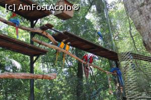 [P25] Foz do Iguaçu, Parcul Păsărilor, Voliera Papagalilor » foto by mprofeanu
 - 
<span class="allrVoted glyphicon glyphicon-heart hidden" id="av1158756"></span>
<a class="m-l-10 hidden" id="sv1158756" onclick="voting_Foto_DelVot(,1158756,6751)" role="button">șterge vot <span class="glyphicon glyphicon-remove"></span></a>
<a id="v91158756" class=" c-red"  onclick="voting_Foto_SetVot(1158756)" role="button"><span class="glyphicon glyphicon-heart-empty"></span> <b>LIKE</b> = Votează poza</a> <img class="hidden"  id="f1158756W9" src="/imagini/loader.gif" border="0" /><span class="AjErrMes hidden" id="e1158756ErM"></span>