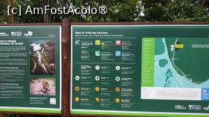 [P10] Cascada Iguacu Brazilia » foto by elenaadina
 - 
<span class="allrVoted glyphicon glyphicon-heart hidden" id="av1517657"></span>
<a class="m-l-10 hidden" id="sv1517657" onclick="voting_Foto_DelVot(,1517657,6751)" role="button">șterge vot <span class="glyphicon glyphicon-remove"></span></a>
<a id="v91517657" class=" c-red"  onclick="voting_Foto_SetVot(1517657)" role="button"><span class="glyphicon glyphicon-heart-empty"></span> <b>LIKE</b> = Votează poza</a> <img class="hidden"  id="f1517657W9" src="/imagini/loader.gif" border="0" /><span class="AjErrMes hidden" id="e1517657ErM"></span>