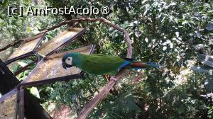 [P29]  -- <small>// FĂRĂ DESCRIERE</small> » foto by elenaadina
 - 
<span class="allrVoted glyphicon glyphicon-heart hidden" id="av1517892"></span>
<a class="m-l-10 hidden" id="sv1517892" onclick="voting_Foto_DelVot(,1517892,6751)" role="button">șterge vot <span class="glyphicon glyphicon-remove"></span></a>
<a id="v91517892" class=" c-red"  onclick="voting_Foto_SetVot(1517892)" role="button"><span class="glyphicon glyphicon-heart-empty"></span> <b>LIKE</b> = Votează poza</a> <img class="hidden"  id="f1517892W9" src="/imagini/loader.gif" border="0" /><span class="AjErrMes hidden" id="e1517892ErM"></span>