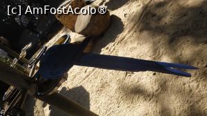 [P42]  -- <small>// FĂRĂ DESCRIERE</small> » foto by elenaadina
 - 
<span class="allrVoted glyphicon glyphicon-heart hidden" id="av1517905"></span>
<a class="m-l-10 hidden" id="sv1517905" onclick="voting_Foto_DelVot(,1517905,6751)" role="button">șterge vot <span class="glyphicon glyphicon-remove"></span></a>
<a id="v91517905" class=" c-red"  onclick="voting_Foto_SetVot(1517905)" role="button"><span class="glyphicon glyphicon-heart-empty"></span> <b>LIKE</b> = Votează poza</a> <img class="hidden"  id="f1517905W9" src="/imagini/loader.gif" border="0" /><span class="AjErrMes hidden" id="e1517905ErM"></span>