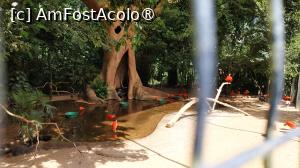 [P05] Parque das Aves » foto by elenaadina
 - 
<span class="allrVoted glyphicon glyphicon-heart hidden" id="av1517868"></span>
<a class="m-l-10 hidden" id="sv1517868" onclick="voting_Foto_DelVot(,1517868,6751)" role="button">șterge vot <span class="glyphicon glyphicon-remove"></span></a>
<a id="v91517868" class=" c-red"  onclick="voting_Foto_SetVot(1517868)" role="button"><span class="glyphicon glyphicon-heart-empty"></span> <b>LIKE</b> = Votează poza</a> <img class="hidden"  id="f1517868W9" src="/imagini/loader.gif" border="0" /><span class="AjErrMes hidden" id="e1517868ErM"></span>