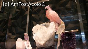 [P56]  -- <small>// FĂRĂ DESCRIERE</small> » foto by elenaadina
 - 
<span class="allrVoted glyphicon glyphicon-heart hidden" id="av1517919"></span>
<a class="m-l-10 hidden" id="sv1517919" onclick="voting_Foto_DelVot(,1517919,6751)" role="button">șterge vot <span class="glyphicon glyphicon-remove"></span></a>
<a id="v91517919" class=" c-red"  onclick="voting_Foto_SetVot(1517919)" role="button"><span class="glyphicon glyphicon-heart-empty"></span> <b>LIKE</b> = Votează poza</a> <img class="hidden"  id="f1517919W9" src="/imagini/loader.gif" border="0" /><span class="AjErrMes hidden" id="e1517919ErM"></span>