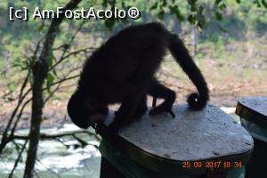 [P21] Nu reuseste sa-l deschida. Au niste sisteme ingenioase de inchidere, tomberoanele-astea » foto by Pușcașu Marin
 - 
<span class="allrVoted glyphicon glyphicon-heart hidden" id="av926316"></span>
<a class="m-l-10 hidden" id="sv926316" onclick="voting_Foto_DelVot(,926316,6751)" role="button">șterge vot <span class="glyphicon glyphicon-remove"></span></a>
<a id="v9926316" class=" c-red"  onclick="voting_Foto_SetVot(926316)" role="button"><span class="glyphicon glyphicon-heart-empty"></span> <b>LIKE</b> = Votează poza</a> <img class="hidden"  id="f926316W9" src="/imagini/loader.gif" border="0" /><span class="AjErrMes hidden" id="e926316ErM"></span>