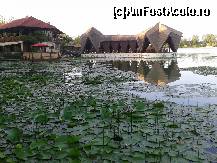 [P04] Lacul Neptun+Restaurantul INSULA (exceptional dpdv. culinar)  » foto by callmevaly
 - 
<span class="allrVoted glyphicon glyphicon-heart hidden" id="av420471"></span>
<a class="m-l-10 hidden" id="sv420471" onclick="voting_Foto_DelVot(,420471,6772)" role="button">șterge vot <span class="glyphicon glyphicon-remove"></span></a>
<a id="v9420471" class=" c-red"  onclick="voting_Foto_SetVot(420471)" role="button"><span class="glyphicon glyphicon-heart-empty"></span> <b>LIKE</b> = Votează poza</a> <img class="hidden"  id="f420471W9" src="/imagini/loader.gif" border="0" /><span class="AjErrMes hidden" id="e420471ErM"></span>