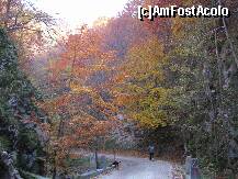 [P32] Peisajul , nevasta si prietenul cel mai bun al omului » foto by ionescunic
 - 
<span class="allrVoted glyphicon glyphicon-heart hidden" id="av153850"></span>
<a class="m-l-10 hidden" id="sv153850" onclick="voting_Foto_DelVot(,153850,6777)" role="button">șterge vot <span class="glyphicon glyphicon-remove"></span></a>
<a id="v9153850" class=" c-red"  onclick="voting_Foto_SetVot(153850)" role="button"><span class="glyphicon glyphicon-heart-empty"></span> <b>LIKE</b> = Votează poza</a> <img class="hidden"  id="f153850W9" src="/imagini/loader.gif" border="0" /><span class="AjErrMes hidden" id="e153850ErM"></span>