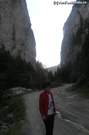 [P26] la Cheile Tătarului » foto by marocanu21
 - 
<span class="allrVoted glyphicon glyphicon-heart hidden" id="av571693"></span>
<a class="m-l-10 hidden" id="sv571693" onclick="voting_Foto_DelVot(,571693,6777)" role="button">șterge vot <span class="glyphicon glyphicon-remove"></span></a>
<a id="v9571693" class=" c-red"  onclick="voting_Foto_SetVot(571693)" role="button"><span class="glyphicon glyphicon-heart-empty"></span> <b>LIKE</b> = Votează poza</a> <img class="hidden"  id="f571693W9" src="/imagini/loader.gif" border="0" /><span class="AjErrMes hidden" id="e571693ErM"></span>