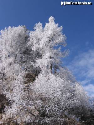 [P13] Feerie de iarnă - Sinaia.  » foto by tata123 🔱
 - 
<span class="allrVoted glyphicon glyphicon-heart hidden" id="av605392"></span>
<a class="m-l-10 hidden" id="sv605392" onclick="voting_Foto_DelVot(,605392,6777)" role="button">șterge vot <span class="glyphicon glyphicon-remove"></span></a>
<a id="v9605392" class=" c-red"  onclick="voting_Foto_SetVot(605392)" role="button"><span class="glyphicon glyphicon-heart-empty"></span> <b>LIKE</b> = Votează poza</a> <img class="hidden"  id="f605392W9" src="/imagini/loader.gif" border="0" /><span class="AjErrMes hidden" id="e605392ErM"></span>