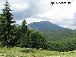 [P19] Peisaj de munte - Trei Brazi.  » foto by tata123 🔱
 - 
<span class="allrVoted glyphicon glyphicon-heart hidden" id="av605398"></span>
<a class="m-l-10 hidden" id="sv605398" onclick="voting_Foto_DelVot(,605398,6777)" role="button">șterge vot <span class="glyphicon glyphicon-remove"></span></a>
<a id="v9605398" class=" c-red"  onclick="voting_Foto_SetVot(605398)" role="button"><span class="glyphicon glyphicon-heart-empty"></span> <b>LIKE</b> = Votează poza</a> <img class="hidden"  id="f605398W9" src="/imagini/loader.gif" border="0" /><span class="AjErrMes hidden" id="e605398ErM"></span>