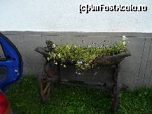 [P15] Dor De Alunis, copaia cu flori de la intrare » foto by dannek
 - 
<span class="allrVoted glyphicon glyphicon-heart hidden" id="av111360"></span>
<a class="m-l-10 hidden" id="sv111360" onclick="voting_Foto_DelVot(,111360,6805)" role="button">șterge vot <span class="glyphicon glyphicon-remove"></span></a>
<a id="v9111360" class=" c-red"  onclick="voting_Foto_SetVot(111360)" role="button"><span class="glyphicon glyphicon-heart-empty"></span> <b>LIKE</b> = Votează poza</a> <img class="hidden"  id="f111360W9" src="/imagini/loader.gif" border="0" /><span class="AjErrMes hidden" id="e111360ErM"></span>