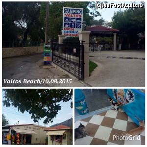 [P13] Intrare în Camping Valtos. La Supermarket au sosit adevărații proprietari.  » foto by ovidiuyepi
 - 
<span class="allrVoted glyphicon glyphicon-heart hidden" id="av668280"></span>
<a class="m-l-10 hidden" id="sv668280" onclick="voting_Foto_DelVot(,668280,6811)" role="button">șterge vot <span class="glyphicon glyphicon-remove"></span></a>
<a id="v9668280" class=" c-red"  onclick="voting_Foto_SetVot(668280)" role="button"><span class="glyphicon glyphicon-heart-empty"></span> <b>LIKE</b> = Votează poza</a> <img class="hidden"  id="f668280W9" src="/imagini/loader.gif" border="0" /><span class="AjErrMes hidden" id="e668280ErM"></span>
