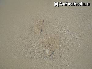 [P07] Footprints in the sand » foto by noi doi
 - 
<span class="allrVoted glyphicon glyphicon-heart hidden" id="av364400"></span>
<a class="m-l-10 hidden" id="sv364400" onclick="voting_Foto_DelVot(,364400,6820)" role="button">șterge vot <span class="glyphicon glyphicon-remove"></span></a>
<a id="v9364400" class=" c-red"  onclick="voting_Foto_SetVot(364400)" role="button"><span class="glyphicon glyphicon-heart-empty"></span> <b>LIKE</b> = Votează poza</a> <img class="hidden"  id="f364400W9" src="/imagini/loader.gif" border="0" /><span class="AjErrMes hidden" id="e364400ErM"></span>