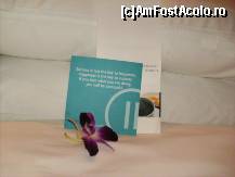 [P24] in fiecare seara gaseam pe perna » foto by gabitza76
 - 
<span class="allrVoted glyphicon glyphicon-heart hidden" id="av112690"></span>
<a class="m-l-10 hidden" id="sv112690" onclick="voting_Foto_DelVot(,112690,6851)" role="button">șterge vot <span class="glyphicon glyphicon-remove"></span></a>
<a id="v9112690" class=" c-red"  onclick="voting_Foto_SetVot(112690)" role="button"><span class="glyphicon glyphicon-heart-empty"></span> <b>LIKE</b> = Votează poza</a> <img class="hidden"  id="f112690W9" src="/imagini/loader.gif" border="0" /><span class="AjErrMes hidden" id="e112690ErM"></span>