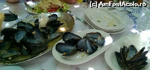 [P01] taverna Pachis -platoul cu scoicile din partea casei  (macate deja) » foto by Dana2008
 - 
<span class="allrVoted glyphicon glyphicon-heart hidden" id="av649719"></span>
<a class="m-l-10 hidden" id="sv649719" onclick="voting_Foto_DelVot(,649719,6854)" role="button">șterge vot <span class="glyphicon glyphicon-remove"></span></a>
<a id="v9649719" class=" c-red"  onclick="voting_Foto_SetVot(649719)" role="button"><span class="glyphicon glyphicon-heart-empty"></span> <b>LIKE</b> = Votează poza</a> <img class="hidden"  id="f649719W9" src="/imagini/loader.gif" border="0" /><span class="AjErrMes hidden" id="e649719ErM"></span>