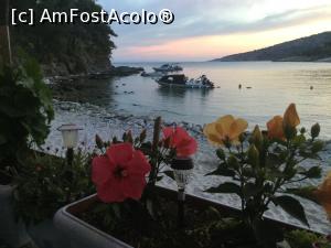 [P37] Sa tot stai la masa si sa ai o astfel de priveliste » foto by mishu
 - 
<span class="allrVoted glyphicon glyphicon-heart hidden" id="av1160182"></span>
<a class="m-l-10 hidden" id="sv1160182" onclick="voting_Foto_DelVot(,1160182,6854)" role="button">șterge vot <span class="glyphicon glyphicon-remove"></span></a>
<a id="v91160182" class=" c-red"  onclick="voting_Foto_SetVot(1160182)" role="button"><span class="glyphicon glyphicon-heart-empty"></span> <b>LIKE</b> = Votează poza</a> <img class="hidden"  id="f1160182W9" src="/imagini/loader.gif" border="0" /><span class="AjErrMes hidden" id="e1160182ErM"></span>