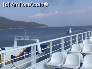 [P38] Privim inapoi cu nostalgie si ne punem dorinte. » foto by mishu
 - 
<span class="allrVoted glyphicon glyphicon-heart hidden" id="av1160183"></span>
<a class="m-l-10 hidden" id="sv1160183" onclick="voting_Foto_DelVot(,1160183,6854)" role="button">șterge vot <span class="glyphicon glyphicon-remove"></span></a>
<a id="v91160183" class=" c-red"  onclick="voting_Foto_SetVot(1160183)" role="button"><span class="glyphicon glyphicon-heart-empty"></span> <b>LIKE</b> = Votează poza</a> <img class="hidden"  id="f1160183W9" src="/imagini/loader.gif" border="0" /><span class="AjErrMes hidden" id="e1160183ErM"></span>