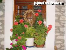 [P02] fereastra unei case din Theologos » foto by irinuca*
 - 
<span class="allrVoted glyphicon glyphicon-heart hidden" id="av149964"></span>
<a class="m-l-10 hidden" id="sv149964" onclick="voting_Foto_DelVot(,149964,6854)" role="button">șterge vot <span class="glyphicon glyphicon-remove"></span></a>
<a id="v9149964" class=" c-red"  onclick="voting_Foto_SetVot(149964)" role="button"><span class="glyphicon glyphicon-heart-empty"></span> <b>LIKE</b> = Votează poza</a> <img class="hidden"  id="f149964W9" src="/imagini/loader.gif" border="0" /><span class="AjErrMes hidden" id="e149964ErM"></span>