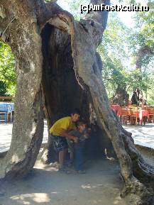 [P08] Platanul din piata,Prinos » foto by irinuca*
 - 
<span class="allrVoted glyphicon glyphicon-heart hidden" id="av149974"></span>
<a class="m-l-10 hidden" id="sv149974" onclick="voting_Foto_DelVot(,149974,6854)" role="button">șterge vot <span class="glyphicon glyphicon-remove"></span></a>
<a id="v9149974" class=" c-red"  onclick="voting_Foto_SetVot(149974)" role="button"><span class="glyphicon glyphicon-heart-empty"></span> <b>LIKE</b> = Votează poza</a> <img class="hidden"  id="f149974W9" src="/imagini/loader.gif" border="0" /><span class="AjErrMes hidden" id="e149974ErM"></span>