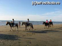 [P26] Apar si juniorii calare » foto by dorgo
 - 
<span class="allrVoted glyphicon glyphicon-heart hidden" id="av113020"></span>
<a class="m-l-10 hidden" id="sv113020" onclick="voting_Foto_DelVot(,113020,6862)" role="button">șterge vot <span class="glyphicon glyphicon-remove"></span></a>
<a id="v9113020" class=" c-red"  onclick="voting_Foto_SetVot(113020)" role="button"><span class="glyphicon glyphicon-heart-empty"></span> <b>LIKE</b> = Votează poza</a> <img class="hidden"  id="f113020W9" src="/imagini/loader.gif" border="0" /><span class="AjErrMes hidden" id="e113020ErM"></span>