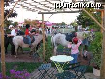 [P31] Am ajuns la Cabourg, incepe in curand cursa de cai » foto by dorgo
 - 
<span class="allrVoted glyphicon glyphicon-heart hidden" id="av113039"></span>
<a class="m-l-10 hidden" id="sv113039" onclick="voting_Foto_DelVot(,113039,6862)" role="button">șterge vot <span class="glyphicon glyphicon-remove"></span></a>
<a id="v9113039" class=" c-red"  onclick="voting_Foto_SetVot(113039)" role="button"><span class="glyphicon glyphicon-heart-empty"></span> <b>LIKE</b> = Votează poza</a> <img class="hidden"  id="f113039W9" src="/imagini/loader.gif" border="0" /><span class="AjErrMes hidden" id="e113039ErM"></span>