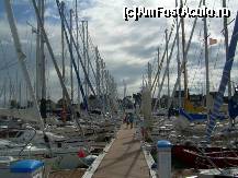 [P37] Intru pe un ponton unde nu prea e voie » foto by dorgo
 - 
<span class="allrVoted glyphicon glyphicon-heart hidden" id="av113050"></span>
<a class="m-l-10 hidden" id="sv113050" onclick="voting_Foto_DelVot(,113050,6862)" role="button">șterge vot <span class="glyphicon glyphicon-remove"></span></a>
<a id="v9113050" class=" c-red"  onclick="voting_Foto_SetVot(113050)" role="button"><span class="glyphicon glyphicon-heart-empty"></span> <b>LIKE</b> = Votează poza</a> <img class="hidden"  id="f113050W9" src="/imagini/loader.gif" border="0" /><span class="AjErrMes hidden" id="e113050ErM"></span>