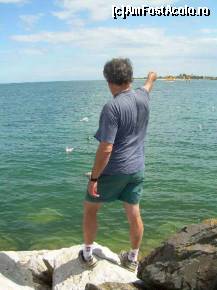 [P46] Pierre ne arata locul unde am fost, insula Tatihou, se vede si turnul fortului Vauban » foto by dorgo
 - 
<span class="allrVoted glyphicon glyphicon-heart hidden" id="av113730"></span>
<a class="m-l-10 hidden" id="sv113730" onclick="voting_Foto_DelVot(,113730,6874)" role="button">șterge vot <span class="glyphicon glyphicon-remove"></span></a>
<a id="v9113730" class=" c-red"  onclick="voting_Foto_SetVot(113730)" role="button"><span class="glyphicon glyphicon-heart-empty"></span> <b>LIKE</b> = Votează poza</a> <img class="hidden"  id="f113730W9" src="/imagini/loader.gif" border="0" /><span class="AjErrMes hidden" id="e113730ErM"></span>