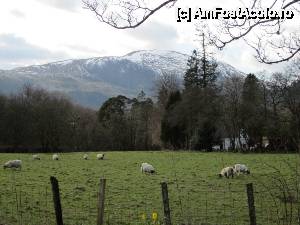 [P61] Intrăm în Trossachs. În zare încep să se contureze munții Scoției.  » foto by ariciu*
 - 
<span class="allrVoted glyphicon glyphicon-heart hidden" id="av502438"></span>
<a class="m-l-10 hidden" id="sv502438" onclick="voting_Foto_DelVot(,502438,6898)" role="button">șterge vot <span class="glyphicon glyphicon-remove"></span></a>
<a id="v9502438" class=" c-red"  onclick="voting_Foto_SetVot(502438)" role="button"><span class="glyphicon glyphicon-heart-empty"></span> <b>LIKE</b> = Votează poza</a> <img class="hidden"  id="f502438W9" src="/imagini/loader.gif" border="0" /><span class="AjErrMes hidden" id="e502438ErM"></span>