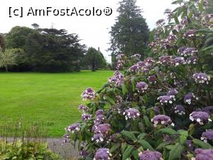 [P58] Gradinile Castelului Armadale din Insula Skye.  » foto by Aurici
 - 
<span class="allrVoted glyphicon glyphicon-heart hidden" id="av901955"></span>
<a class="m-l-10 hidden" id="sv901955" onclick="voting_Foto_DelVot(,901955,6898)" role="button">șterge vot <span class="glyphicon glyphicon-remove"></span></a>
<a id="v9901955" class=" c-red"  onclick="voting_Foto_SetVot(901955)" role="button"><span class="glyphicon glyphicon-heart-empty"></span> <b>LIKE</b> = Votează poza</a> <img class="hidden"  id="f901955W9" src="/imagini/loader.gif" border="0" /><span class="AjErrMes hidden" id="e901955ErM"></span>
