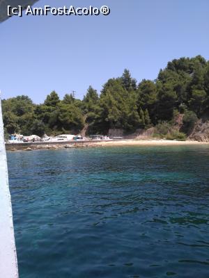 [P03]  -- <small>// FĂRĂ DESCRIERE</small> » foto by costimoro
 - 
<span class="allrVoted glyphicon glyphicon-heart hidden" id="av875376"></span>
<a class="m-l-10 hidden" id="sv875376" onclick="voting_Foto_DelVot(,875376,6960)" role="button">șterge vot <span class="glyphicon glyphicon-remove"></span></a>
<a id="v9875376" class=" c-red"  onclick="voting_Foto_SetVot(875376)" role="button"><span class="glyphicon glyphicon-heart-empty"></span> <b>LIKE</b> = Votează poza</a> <img class="hidden"  id="f875376W9" src="/imagini/loader.gif" border="0" /><span class="AjErrMes hidden" id="e875376ErM"></span>