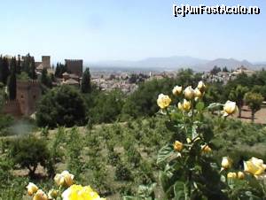 [P13] Alhambra, cu turnul Alcazaba, văzută dinspre grădinile de trandafiri (Jardines Nuevos) din Generalife » foto by Carmen Ion
 - 
<span class="allrVoted glyphicon glyphicon-heart hidden" id="av608551"></span>
<a class="m-l-10 hidden" id="sv608551" onclick="voting_Foto_DelVot(,608551,7020)" role="button">șterge vot <span class="glyphicon glyphicon-remove"></span></a>
<a id="v9608551" class=" c-red"  onclick="voting_Foto_SetVot(608551)" role="button"><span class="glyphicon glyphicon-heart-empty"></span> <b>LIKE</b> = Votează poza</a> <img class="hidden"  id="f608551W9" src="/imagini/loader.gif" border="0" /><span class="AjErrMes hidden" id="e608551ErM"></span>