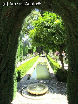[P13] Gradinile Generalife » foto by simplegirl
 - 
<span class="allrVoted glyphicon glyphicon-heart hidden" id="av990816"></span>
<a class="m-l-10 hidden" id="sv990816" onclick="voting_Foto_DelVot(,990816,7020)" role="button">șterge vot <span class="glyphicon glyphicon-remove"></span></a>
<a id="v9990816" class=" c-red"  onclick="voting_Foto_SetVot(990816)" role="button"><span class="glyphicon glyphicon-heart-empty"></span> <b>LIKE</b> = Votează poza</a> <img class="hidden"  id="f990816W9" src="/imagini/loader.gif" border="0" /><span class="AjErrMes hidden" id="e990816ErM"></span>