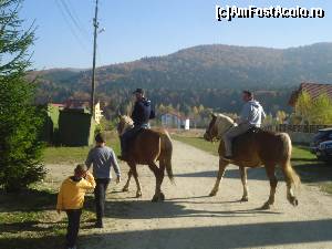 [P24] s-au întors profesioniştii din pădure - a 3-a oră de călărie!  » foto by marocanu21
 - 
<span class="allrVoted glyphicon glyphicon-heart hidden" id="av621661"></span>
<a class="m-l-10 hidden" id="sv621661" onclick="voting_Foto_DelVot(,621661,7073)" role="button">șterge vot <span class="glyphicon glyphicon-remove"></span></a>
<a id="v9621661" class=" c-red"  onclick="voting_Foto_SetVot(621661)" role="button"><span class="glyphicon glyphicon-heart-empty"></span> <b>LIKE</b> = Votează poza</a> <img class="hidden"  id="f621661W9" src="/imagini/loader.gif" border="0" /><span class="AjErrMes hidden" id="e621661ErM"></span>