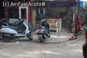 [P10] Motocicleta și văcuța sfântă, o comparație inegală.  » foto by glcitizen
 - 
<span class="allrVoted glyphicon glyphicon-heart hidden" id="av867647"></span>
<a class="m-l-10 hidden" id="sv867647" onclick="voting_Foto_DelVot(,867647,7091)" role="button">șterge vot <span class="glyphicon glyphicon-remove"></span></a>
<a id="v9867647" class=" c-red"  onclick="voting_Foto_SetVot(867647)" role="button"><span class="glyphicon glyphicon-heart-empty"></span> <b>LIKE</b> = Votează poza</a> <img class="hidden"  id="f867647W9" src="/imagini/loader.gif" border="0" /><span class="AjErrMes hidden" id="e867647ErM"></span>