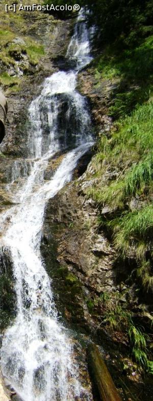 [P50] Saritoarea Bohodei » foto by Testosu'
 - 
<span class="allrVoted glyphicon glyphicon-heart hidden" id="av834774"></span>
<a class="m-l-10 hidden" id="sv834774" onclick="voting_Foto_DelVot(,834774,7135)" role="button">șterge vot <span class="glyphicon glyphicon-remove"></span></a>
<a id="v9834774" class=" c-red"  onclick="voting_Foto_SetVot(834774)" role="button"><span class="glyphicon glyphicon-heart-empty"></span> <b>LIKE</b> = Votează poza</a> <img class="hidden"  id="f834774W9" src="/imagini/loader.gif" border="0" /><span class="AjErrMes hidden" id="e834774ErM"></span>