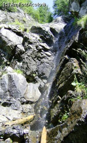 [P51] Cascada Miss » foto by Testosu'
 - 
<span class="allrVoted glyphicon glyphicon-heart hidden" id="av834777"></span>
<a class="m-l-10 hidden" id="sv834777" onclick="voting_Foto_DelVot(,834777,7135)" role="button">șterge vot <span class="glyphicon glyphicon-remove"></span></a>
<a id="v9834777" class=" c-red"  onclick="voting_Foto_SetVot(834777)" role="button"><span class="glyphicon glyphicon-heart-empty"></span> <b>LIKE</b> = Votează poza</a> <img class="hidden"  id="f834777W9" src="/imagini/loader.gif" border="0" /><span class="AjErrMes hidden" id="e834777ErM"></span>